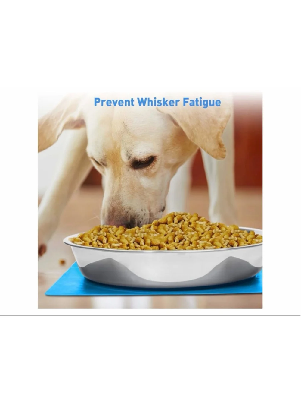 NEW Shallow Dog Food Bowls Non Slip Food Grade Stainless Steel Large Dogs 8 Cups
